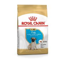 Rc Pug 25 Carlino Junior 1,5Kg Minsan 933910440