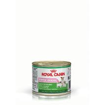 Rc Starter Mousse Um 195Gr Cane Minsan 931068896