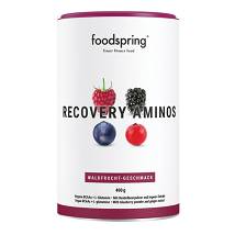 RECOVERY AMINOS FRUTTI RO 400G