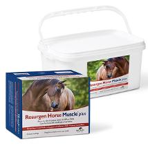 Resurgen Horse Muscle Plus 60 Buste Minsan 942223518