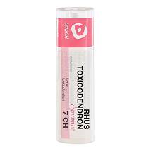 RHUS TOX DYN*7CH GR