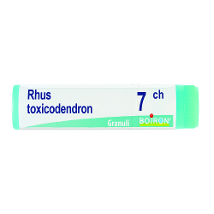 RHUS TOXICOD BOI*7CH GL 1G