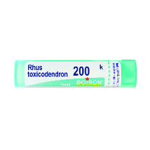 RHUS TOXICODENDRON 200K GRANULI