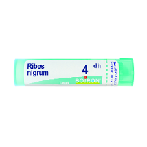 RIBES NIGRUM 4DH GRANULI