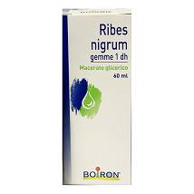 RIBES NIGRUM GEMME MACERATO GLICERINATO 60ML
