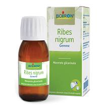 RIBES NIGRUM MACERATO GLICERINATO 60ML