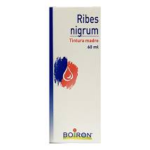 RIBES NIGRUM TINTURA MADRE 60 ML