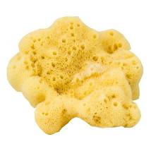 ROSENFELD SPUG FINE 2SCEL 9CM