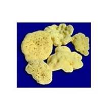 ROSENFELD SPUG FINE OCCHI 5CM