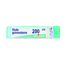 RUTA GRAVEOLENS 200CH GRANULI