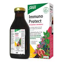 SALUS IMMUNO PROTECT 250ML
