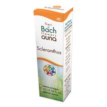 SCLERANTHUS GUN GTT 10ML PREP