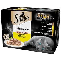 Selezione in Salsa Selezione Delicata