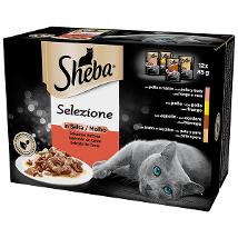 Selezione in Salsa Selezione Gustosa