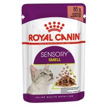 Sensory Smell Bocconcini in Salsa