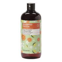 SHAMPOO DOCCIA ARA BERGAM500ML