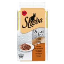Sheba Delices Du Jour 4+2Bs 50Gr C/Pollo Pis Tacc Car Selezione Deliziosa 327584 New
