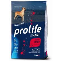 Smart Adult Giant Beef & Rice