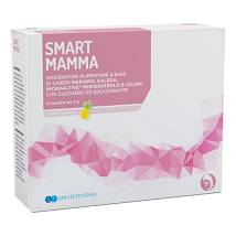 SMART MAMMA 14BUST ANANAS