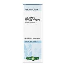 SOLIDAGO TINT IAL 50ML EBV