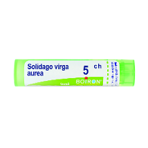 SOLIDAGO VIRGA AUREA 5CH GRANULI