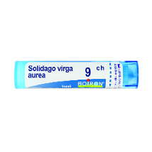 SOLIDAGO VIRGA AUREA 9CH GRANULI