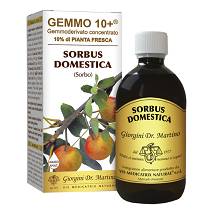 SORBO 500ML ANALCO GEMMO 10+