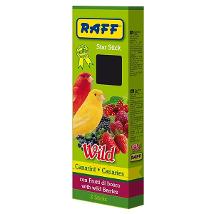 Star Stick Wild Canarini 2Pz 60Gr 100746