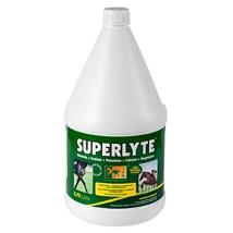 Superlyte Syrup 2:2:1 3,75Lt - Sciroppo Di Elettroliti Bilanciato - Trm