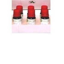 SYMPHITUM 6LM 10ML GTT