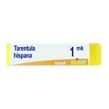 TARENTULA HISPANA MK GLOBULI