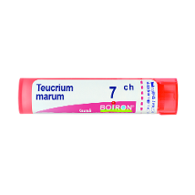 TEUCRIUM MARUM 7CH GRANULI