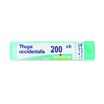 THUYA OCCIDENTALIS 200CH GRANULI