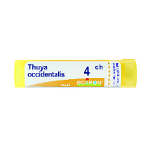 THUYA OCCIDENTALIS 4CH GRANULI