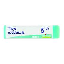 THUYA OCCIDENTALIS 5CH GLOBULI