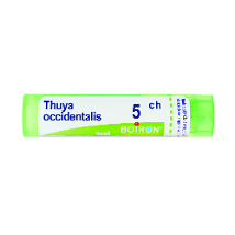THUYA OCCIDENTALIS 5CH GRANULI