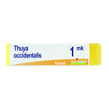 THUYA OCCIDENTALIS MK GLOBULI