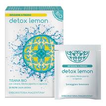 TISANA FREDDA BIO DETOX 20FILT
