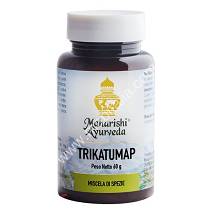 TRIKATUMAP POLVERE 60G