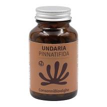UNDARIA PINNATIFIDA 180CPR