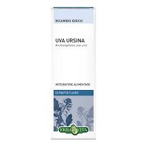 UVA URSINA EF FOGLIE 50ML
