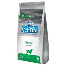Vet Life Dog Renal 12Kg Pvn1200008 Minsan 922976941