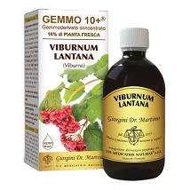 VIBURNO LIQ ANALCOLICO 500ML