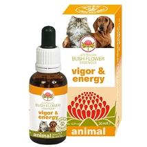 Vigor & Energy 30Ml Bf410 Minsan 935168854