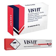 Visvit 30 Cpr 1 Gr Minsan 939484200