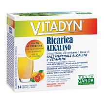 VITADYN RICARICA ALKALIN14BUST