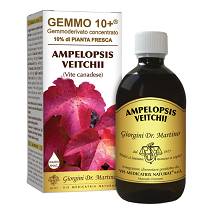 VITE CANADESE 500ML LIQ AN GEM