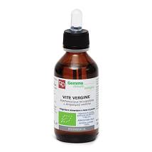 VITE VERGINE MG 100ML BIO