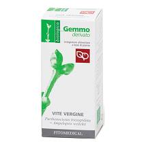 VITE VERGINE MG 50ML BIO