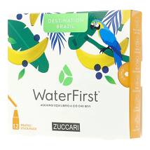 WATER FIRST DEST BRAZ 1,5GX12